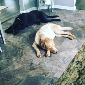 Meet your Posher, Michael